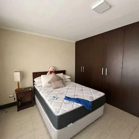 Aly ميونيخ
